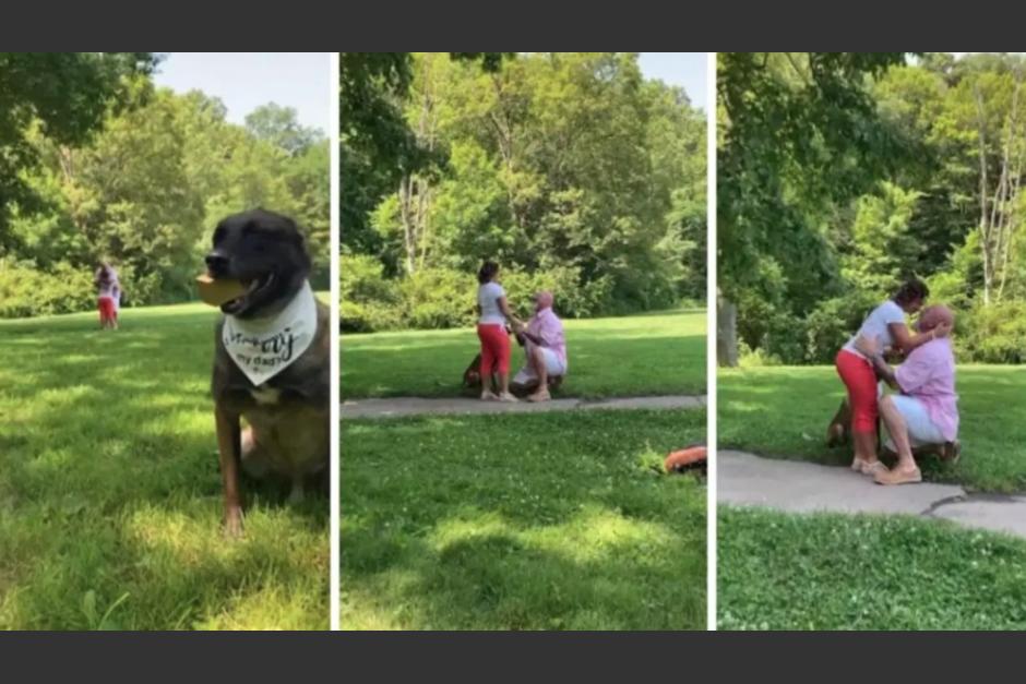 Perro ayud&oacute; a su due&ntilde;o a pedir matrimonio. (Foto: Captura de Pantalla/ Televisa News)