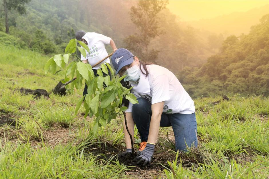 En 20 años, estas áreas reforestadas purificarán 3 millones de toneladas de oxígeno en beneficio de las futuras generaciones. (Fotografía cortesía: Spectrum)