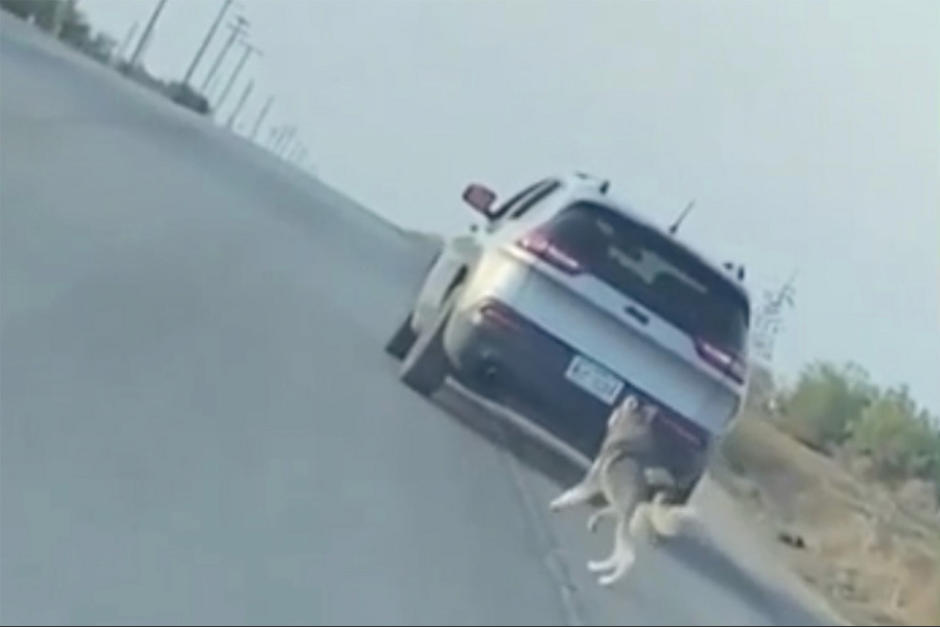 El husky trat&oacute; de regresar con su due&ntilde;o, pero este lo dej&oacute; en la mitad de una carretera. (Captura Video)