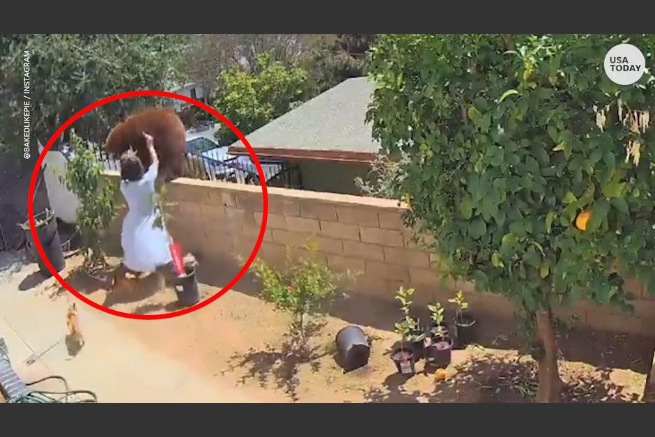 La mujer corri&oacute; para empujar al oso. (Foto: Telemundo)&nbsp;