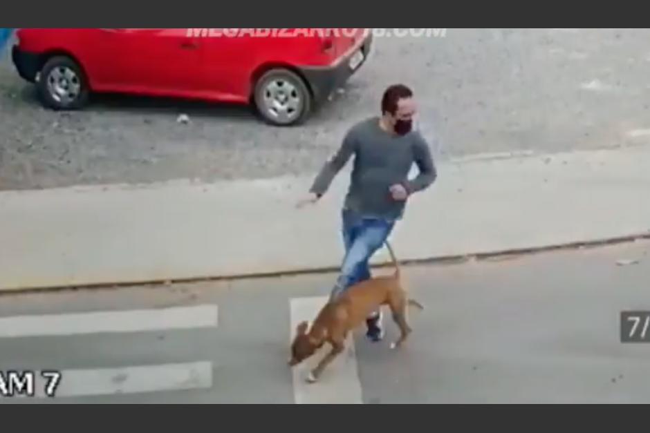 El perro atropell&oacute; a un hombre que intentaba cruzar la calle. (Foto: captura de pantalla)