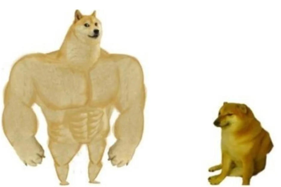 La imagen de un perro de la raza japonesa Shiba Inu es considerado uno de los memes m&aacute;s conocidos. (Foto:: Oficial)&nbsp;