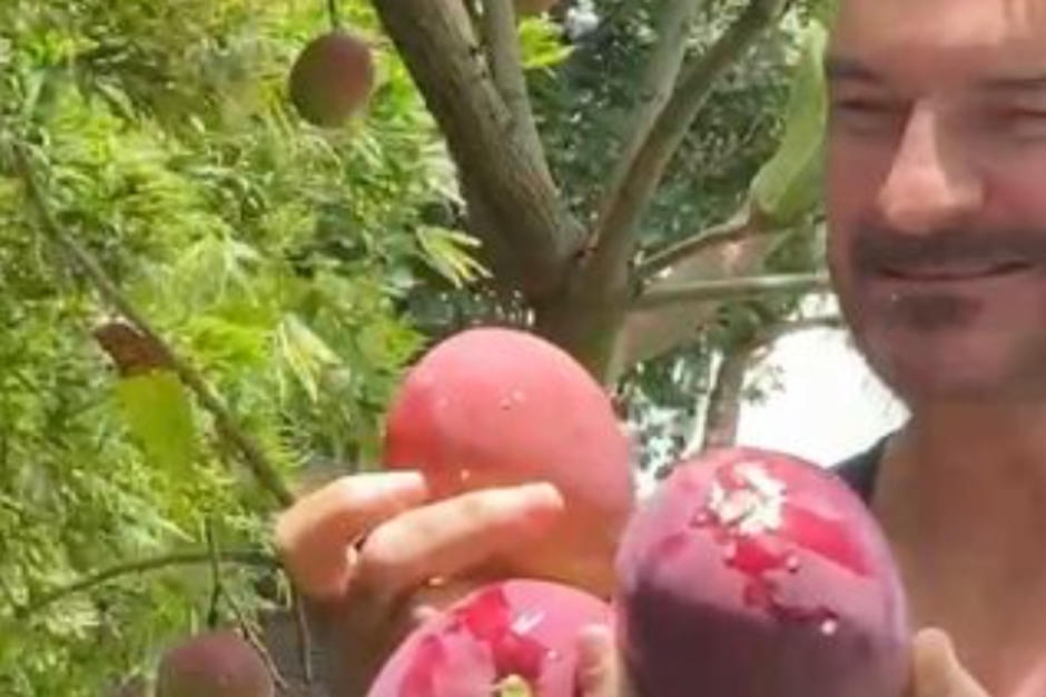 Ricardo Arjona se emocionó con su cosecha. (Foto: Instagram)