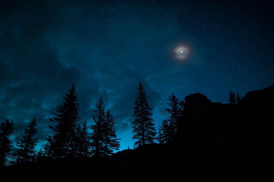 Las mejores historias de miedo contadas dentro del bosque. (Foto: Ilustrativa Pexels)