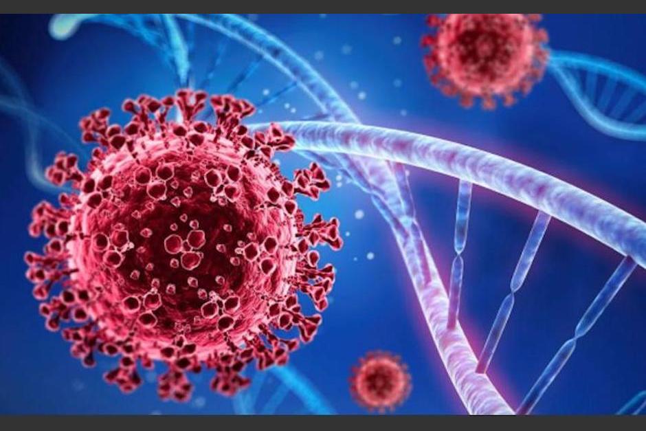 Los mayores portadores del virus son personas jóvenes. (Foto: OPS)