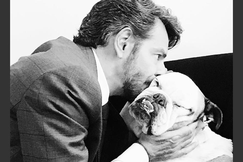 Eugenio Derbez se ha demostrado protector de los derechos animales.&nbsp; (Foto: Us.Hola.com)