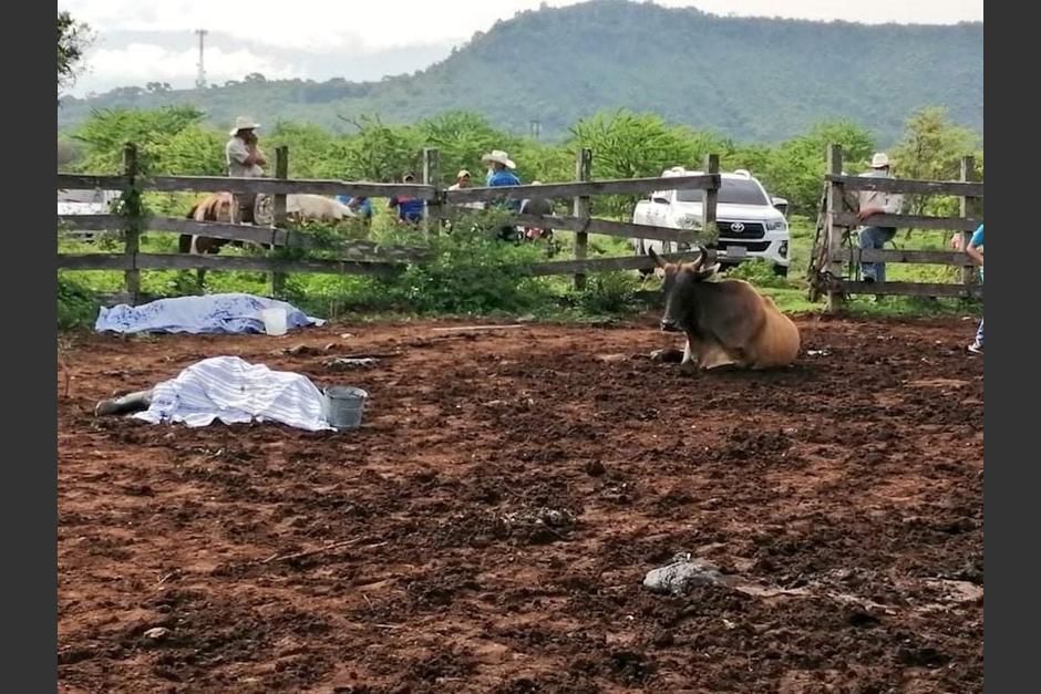 Seis personas fueron asesinadas en una finca ubicada en la aldea El Amatillo, del municipio de Ipala, en Chiquimula. (Foto: Morales Me Llega)