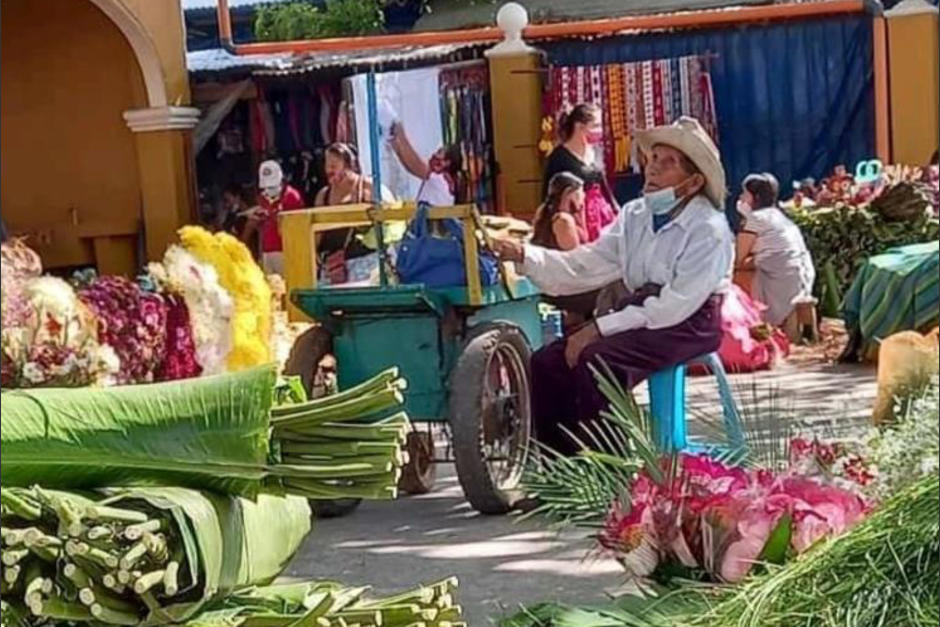 Don Rafael sufri&oacute; heridas de gravedad luego que le cayera la rama de una ceiba en el parque de Pal&iacute;n. (Foto: Red informativa)&nbsp;