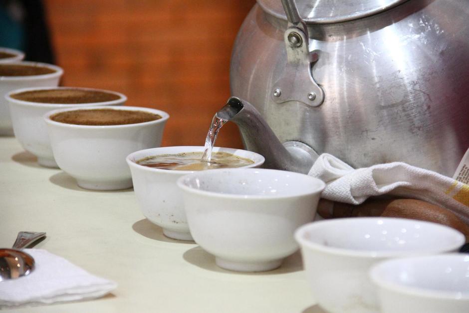 Los 30 mejores cafés del país representarán a Guatemala en concurso de catación de café centroamericano en Taipei. (Foto: Anacafé)