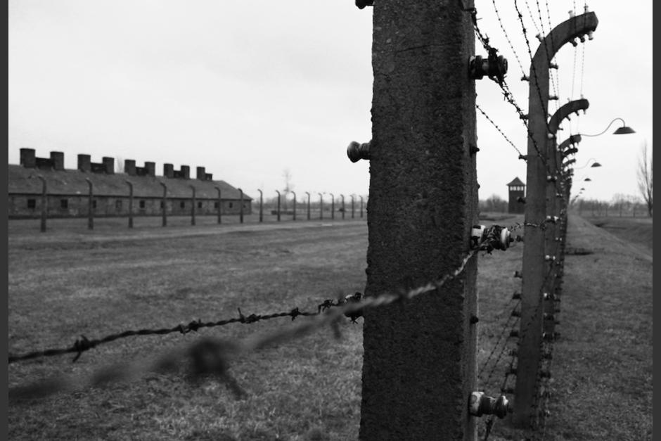 Son varias los motivos, desde razones afectivas al deber de salvaguardar la memoria o un deseo de hacer justicia, los que llevaron a los estadounidenses Maya y Noah. (Foto: Shutterstock)