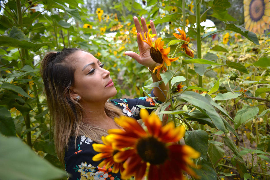Girasoles de Antigua se ha convertido en un sitio atractivo para los turistas nacionales e internacionales. (Foto: Wilder López/Soy502)