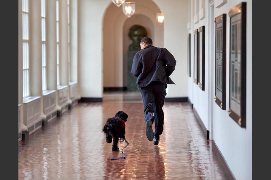 Bo era un encantador perro que se había unido a los Obama en abril del 2009. (Foto: Facebook/Obama)