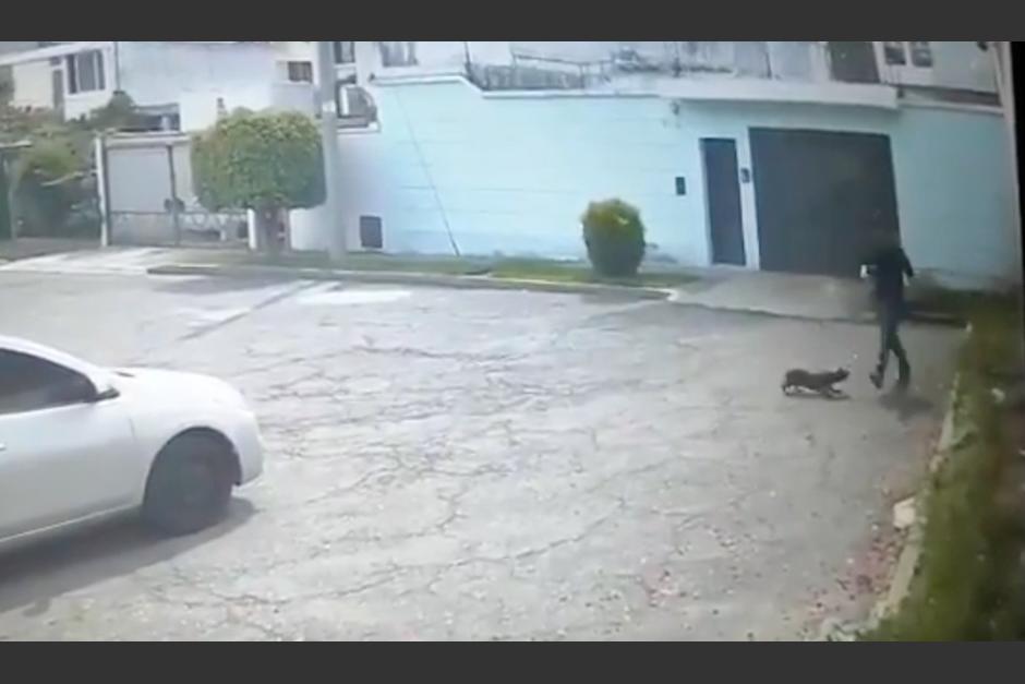 El video se comparte en redes sociales. (Foto: captura video)&nbsp;