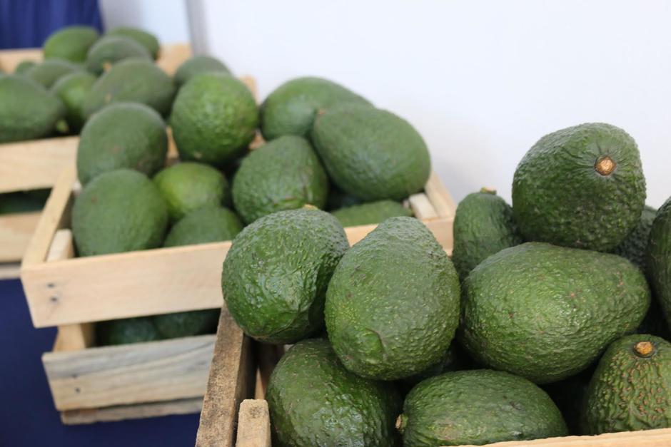 Las tendencias del consumo a nivel mundial abrieron m&aacute;s oportunidades en la industria del aguacate en Guatemala. (Foto: cortes&iacute;a/ Agexport)