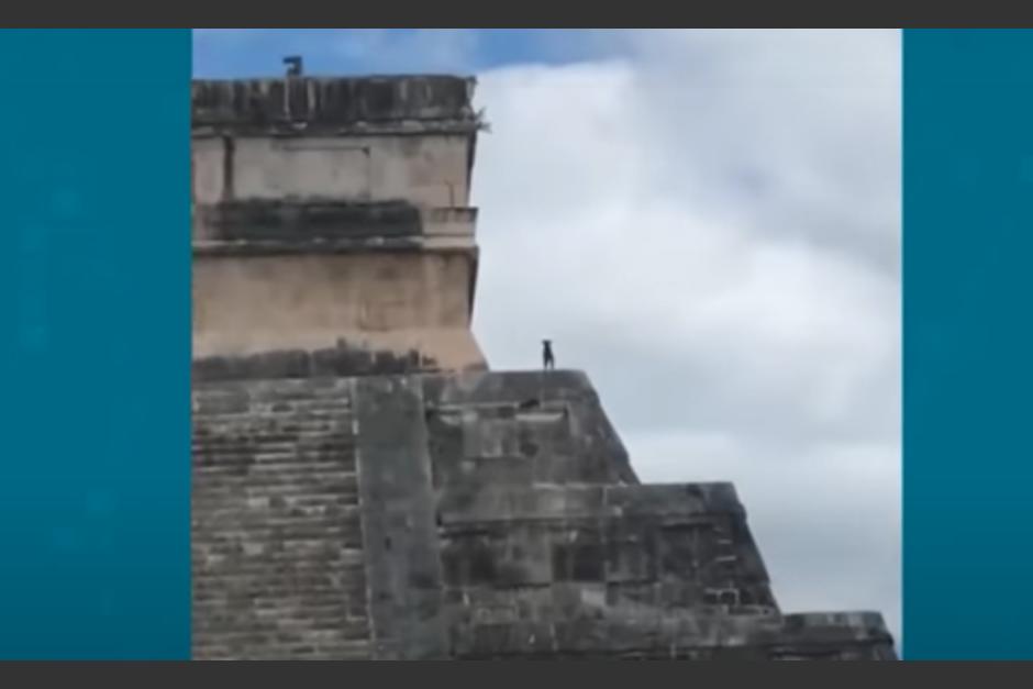 En redes sociales compartieron un video de un perro llegando a la cima de la&nbsp;pirámide Chichén Itzá, en México. (Foto: Captura de pantalla)