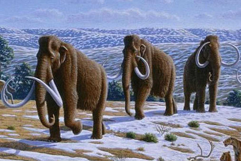 Esta es la explicación acerca de este controversial proyecto. (Foto: Oficial)