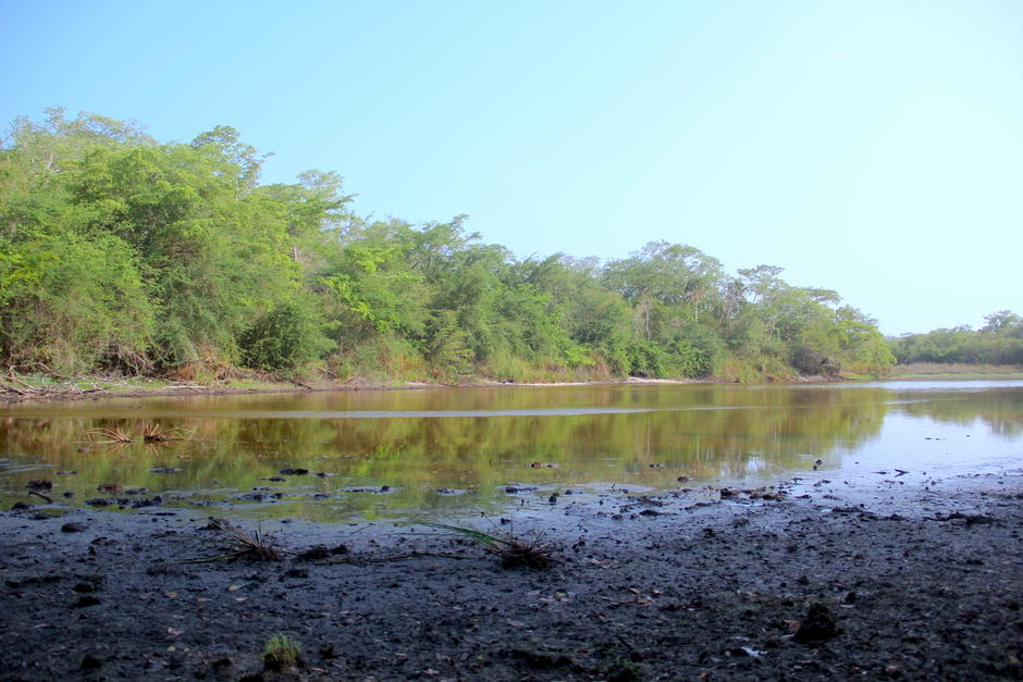 El encuentro buscar&aacute; mecanismos para garantizar el futuro del planeta y su biodiversidad. (Foto: Fredy Hern&aacute;ndez/Soy502)