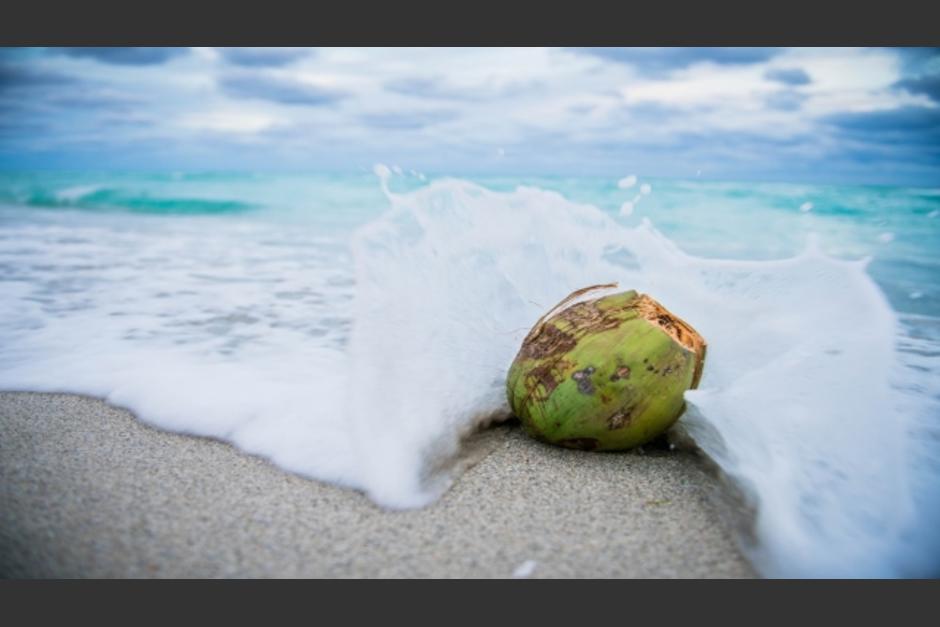 Los hombres sobrevivieron comiendo cocos y naranjas. (Foto: Pixabay)