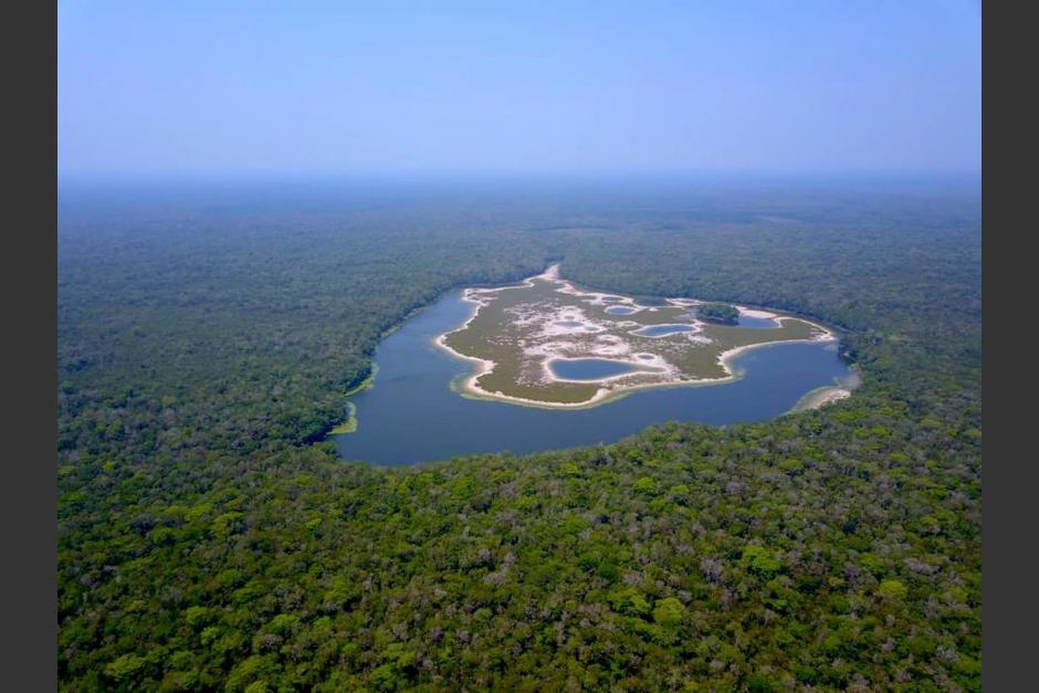 El Gobierno, a trav&eacute;s del Conap, cedi&oacute; tres pr&oacute;rrogas de concesiones y dos nuevos contratos a comunidades de Pet&eacute;n. (Foto: Acofop)