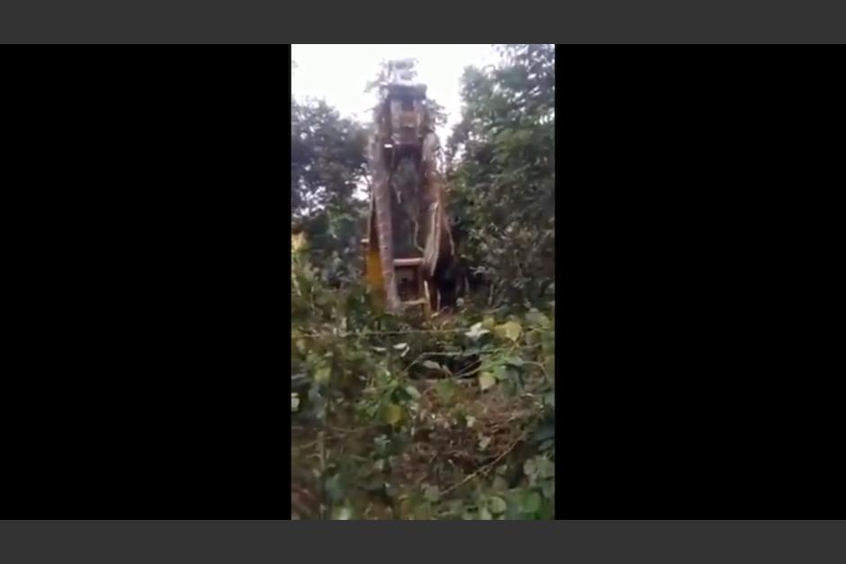Captan a una enorme serpiente que fue movilizada con una grúa debido a su tamaño y peso. (Foto: captura de pantalla)