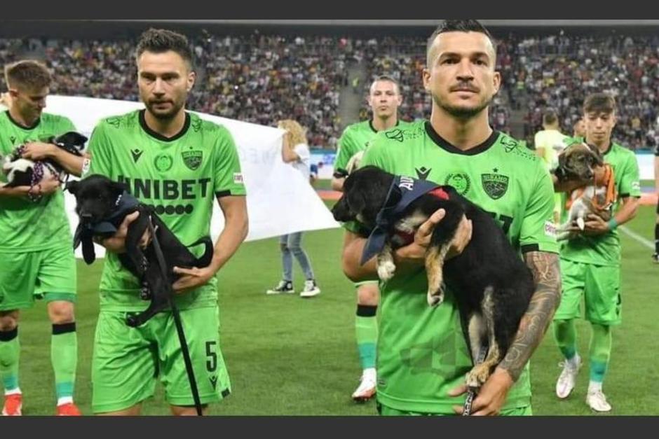 Jugadores del&nbsp;D&iacute;namo de Bucarest promueven la adopci&oacute;n de perros. (Foto: F&uacute;tbol picante)