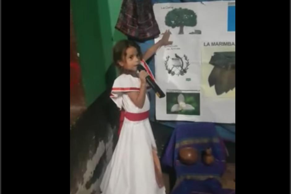 Niña confunde al Quetzal con un perico en su inocencia y nervios al exponer. (Foto: Captura de pantalla)