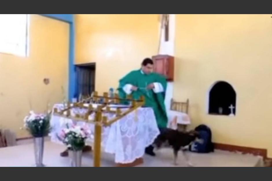 Sacerdote pate&oacute; a un perro en plena misa y caus&oacute; indignaci&oacute;n en redes sociales. (Foto: Captura de pantalla)