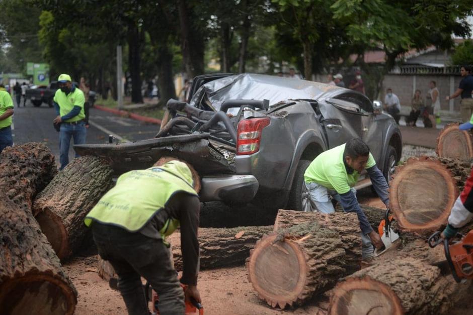 El &aacute;rbol que se desplom&oacute; la tarde de este jueves 18 de agosto, destruy&oacute; dos veh&iacute;culos que estaban estacionados en cercan&iacute;a de la feria de Jocotenango. .  (Foto: Wilder L&oacute;pez/Soy502)