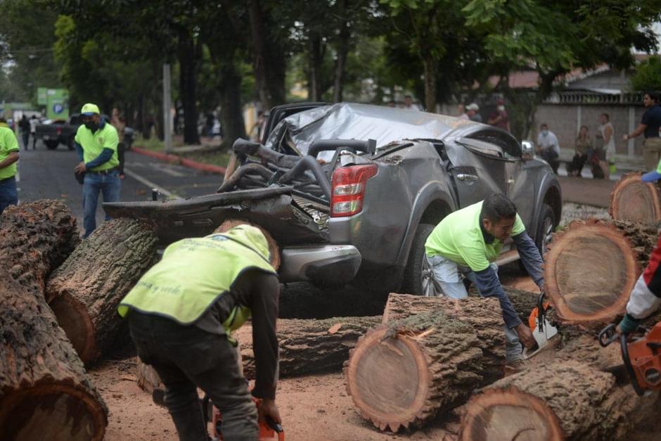 El árbol que se desplomó la tarde de este jueves 18 de agosto, destruyó dos vehículos que estaban estacionados en cercanía de la feria de Jocotenango. .  (Foto: Wilder López/Soy502)