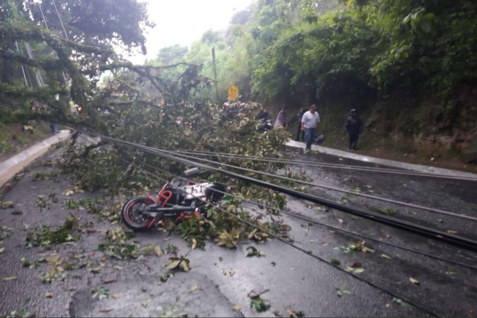 Un árbol cayó sobre la ruta a San Juan Sacatepéquez. (Foto: Emixtra)