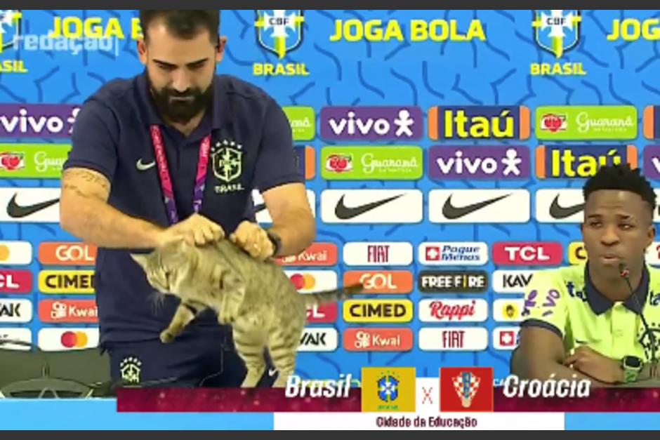 Un gato irrumpió en la conferencia de prensa de Brasil. (Foto: Captura de pantalla)