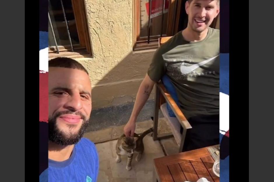 Jugadores de Inglaterra adoptaron a gato callejero de Qatar. (Foto: Instagram)