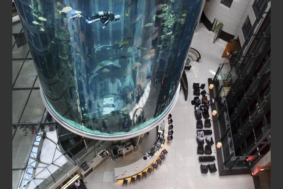 Un acuario gigante estalla en un hotel en el corazón de Berlín. (Foto: AFP)&nbsp;