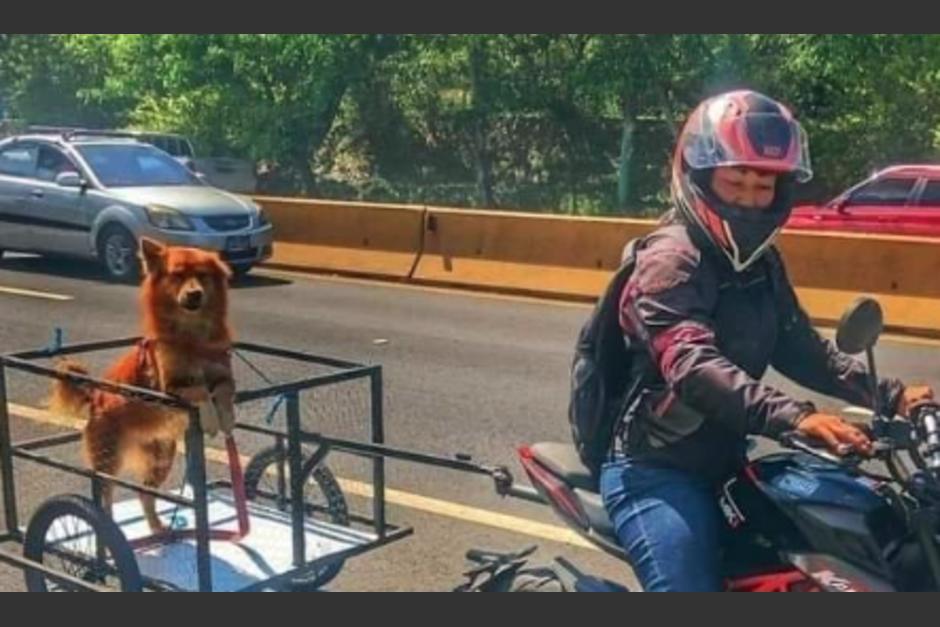 Hombre viajó con su perrito en moto. (Foto: redes sociales)
