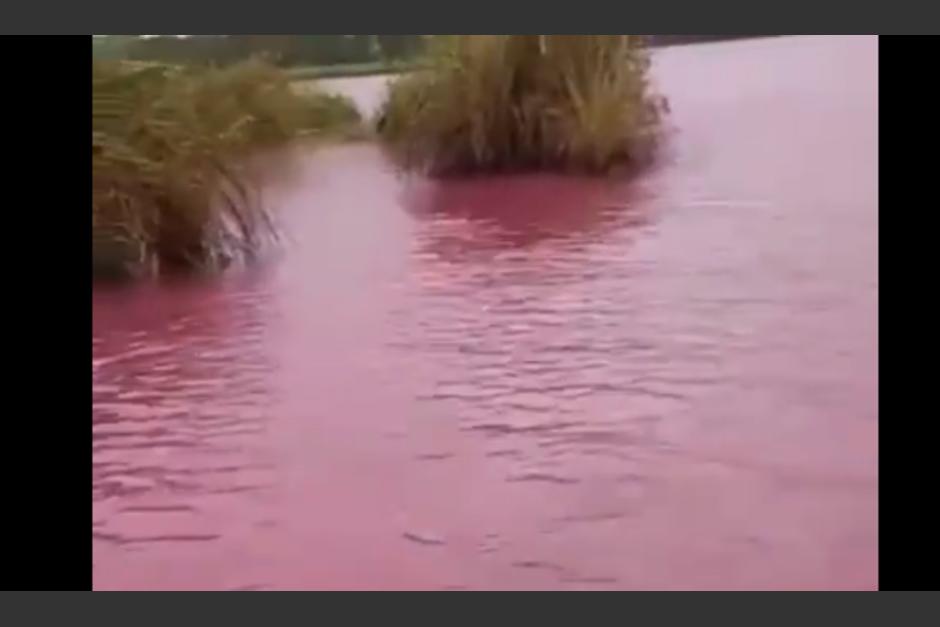 La laguna, "El Pistán", en La Libertad, Petén, se tornó de color rojizo y pobladores grabaron el hecho. (Foto: Captura de pantalla)&nbsp;