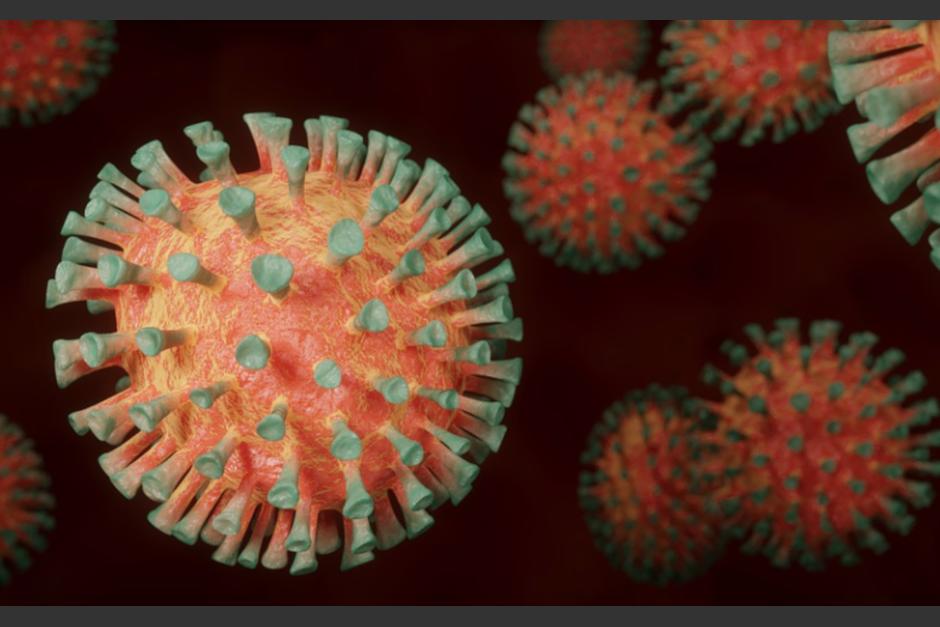 Los expertos explican que los virus mutan y ahí está el riesgo de que desarrollen resistencia a medicamentos. (Foto: Pixabay)