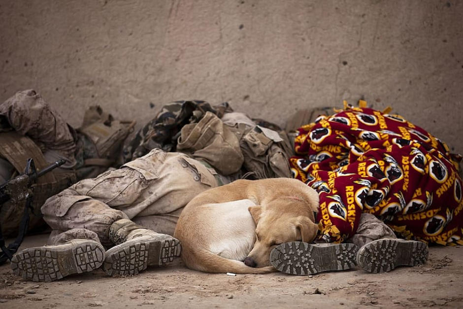 Este es un efectivo m&eacute;todo para dormir. (Foto: Piqsels)