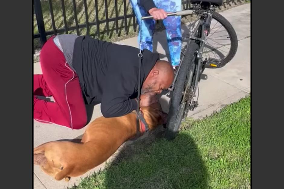 El hombre le dio respiraci&oacute;n boca a boca al perro para poder revivirlo. (Foto: Cultura Colectiva)&nbsp;