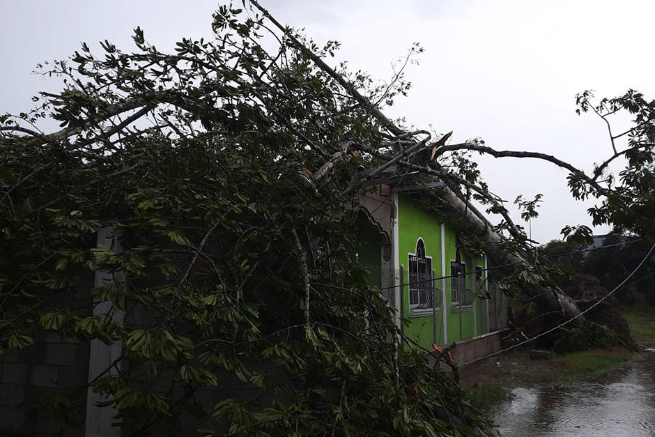 Un fuerte tornado azot&oacute; Morales, Izabal el pasado domingo 13 de febrero dejando viviendas con da&ntilde;os. (Foto: Conred)&nbsp;