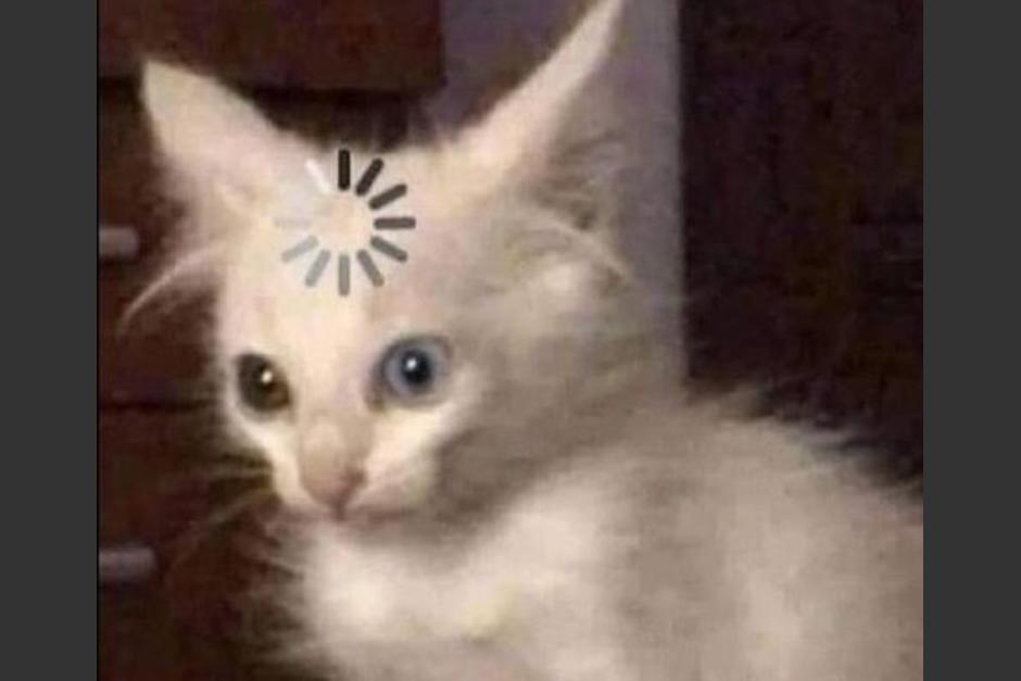 A trav&eacute;s de las redes sociales, los internautas tomaron con humor el incidente. (Foto: Twitter)