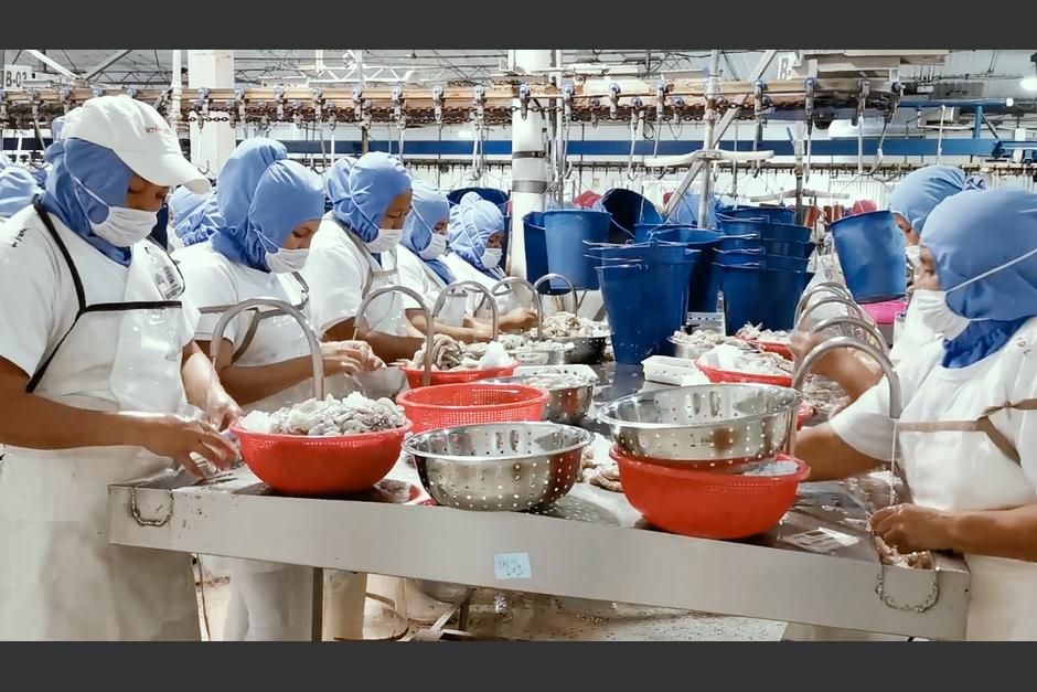 Durante tres días realizarán un Simposio de Acuicultura y Pesca en Antigua Guatemala, en donde expertos de varios países compartirán sus conocimientos. (Foto: Agexport)