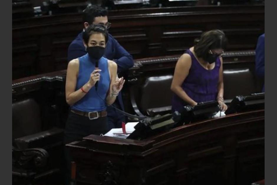 La diputada por Semilla, Lucrecia Hernández Mack, en una de las sesiones plenarias. (Foto: Instagram)&nbsp;