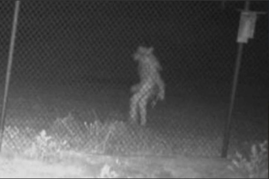 La imagen ha cautivado a los internautas que no encuentran una explicaci&oacute;n sobre el fen&oacute;meno. (Foto: City of Amarillo)