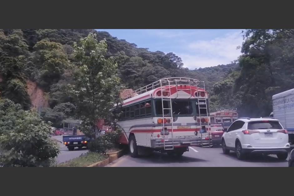 El conductor del bus se sube al arriate para evitar la fila de carros y derriba un árbol en la Interamericana. (Foto: captura video)