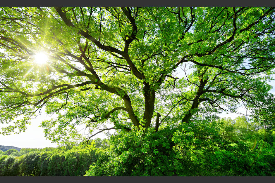 El hombre no ha sido identificado. (Foto: Shutterstock)&nbsp;