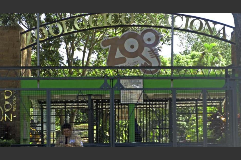 El &uacute;nico zool&oacute;gico de El Salvador anunci&oacute; su cierre definitivo. (Foto: elsalvador.com)