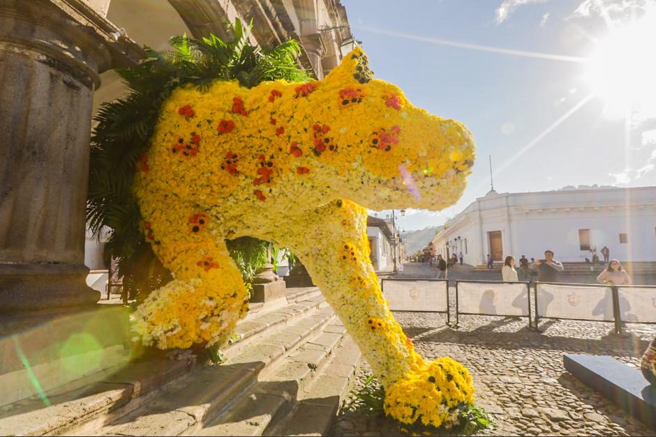 El jaguar frente a la Municipalidad de Antigua figura entre todos los dise&ntilde;os. (Foto: Municipalidad de Antigua Guatemala)