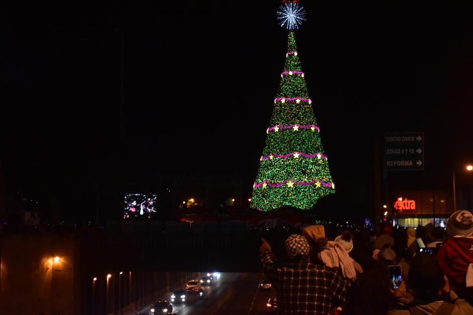 Así luce el Árbol Gallo con las más de 1.5 millones de luces led