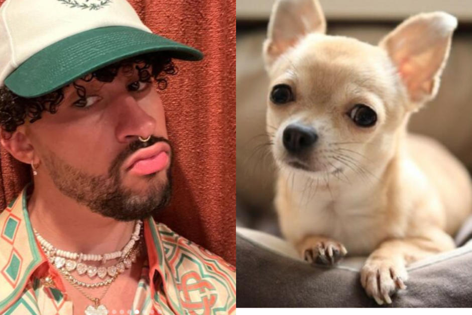 El usuario de redes est&aacute; desesperado por buscar a su perrito. (Fotos: redes sociales)