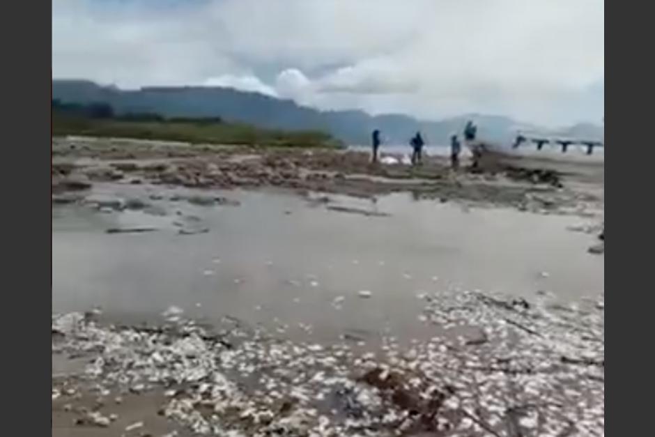 Imágenes muestran la contaminación del Lago de Atitlán. (Foto: captura de pantalla)